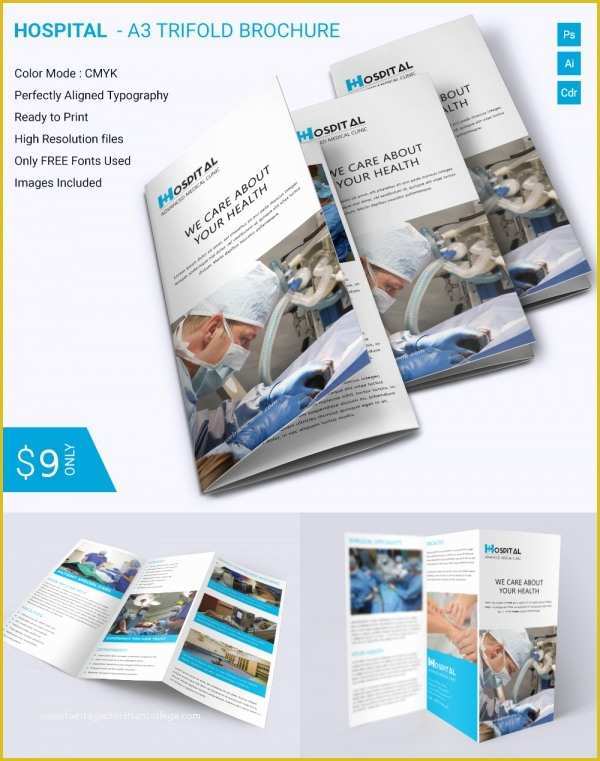 Brochure Tri Fold Template Free Download Of Brochure Templates Pdf Free Download Csoforumfo