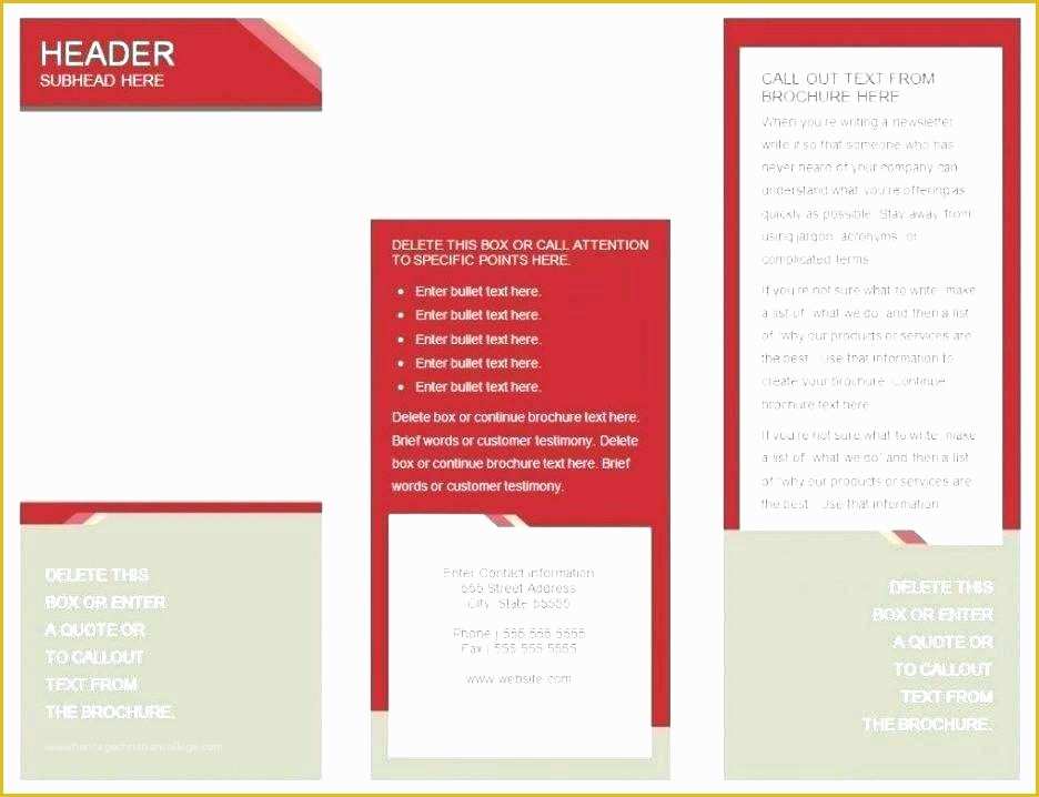 Brochure Tri Fold Template Free Download Of Word Brochure Template Catalog Template Word Brochure