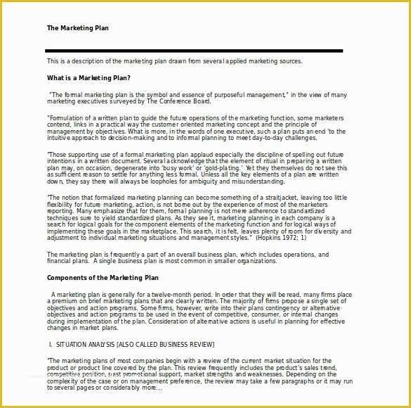 Business Marketing Plan Template Free Of 22 Microsoft Word Marketing Plan Templates