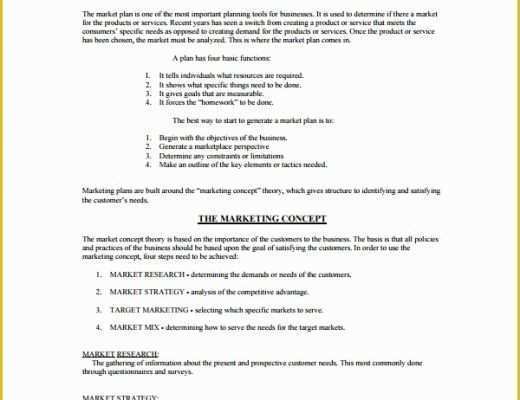 Business Marketing Plan Template Free Of 8 Marketing Strategy Templates