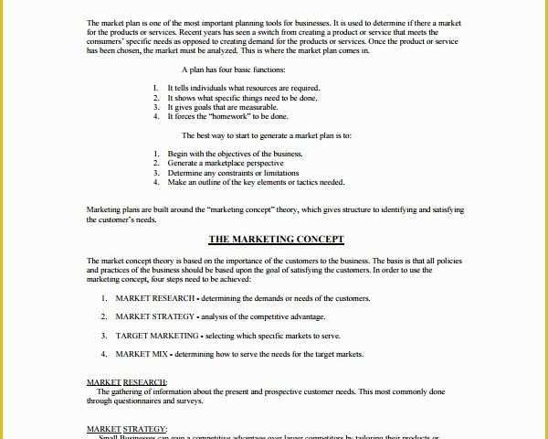 Business Marketing Plan Template Free Of 8 Marketing Strategy Templates