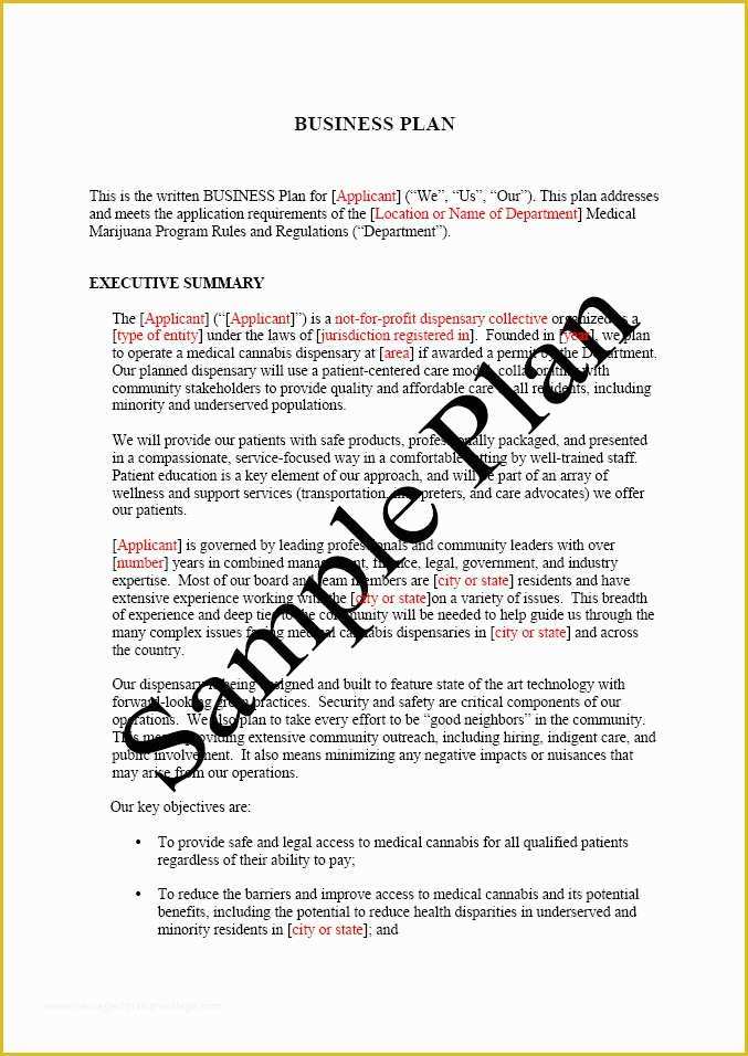 Business Plan Template Free Of Free Printable Business Plan Sample form Generic