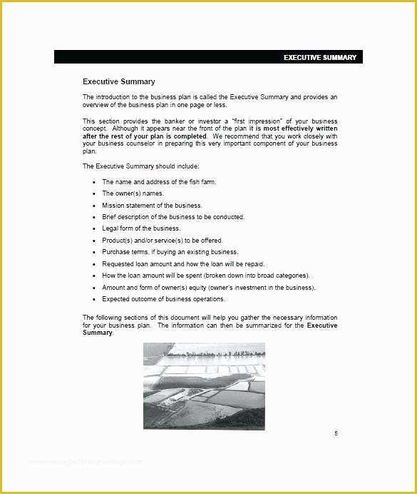 Business Plan Template Pdf Free Download Of format Of A Business Plan Pdf – themostexpensive