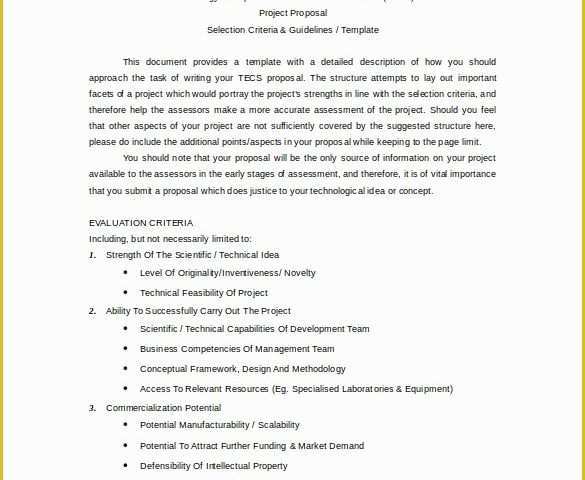 Business Proposal Template Free Download Of Business Proposal Template 14 Download Free Documents