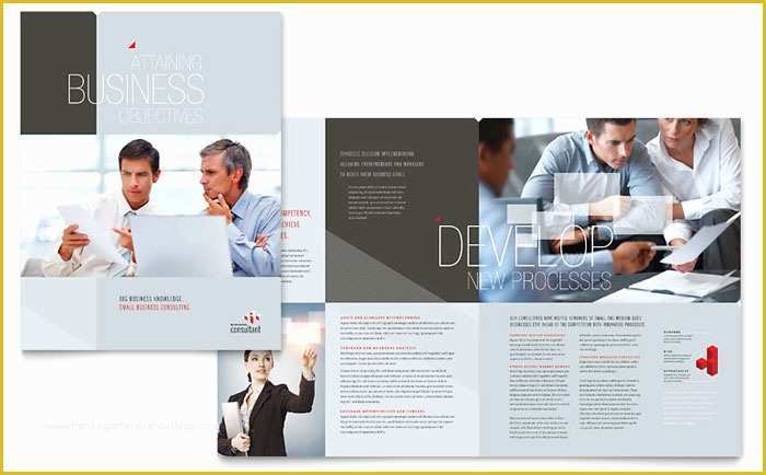 Business Prospectus Template Free Of Corporate Business Brochure Template Design