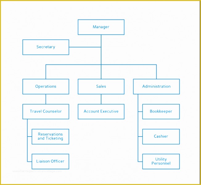 Business Structure Template Free Of Free organizational Chart Template Word Excel