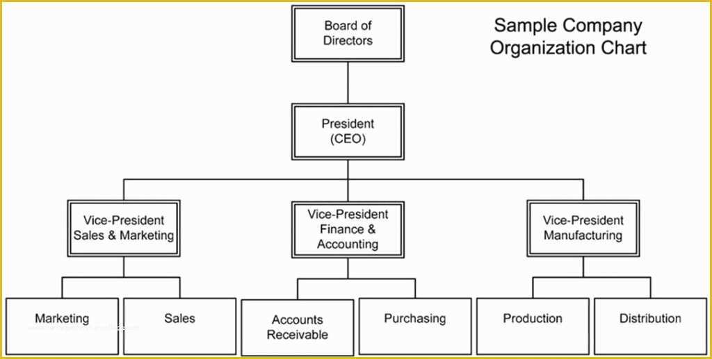 Business Structure Template Free Of Free Pany Structure Chart Template
