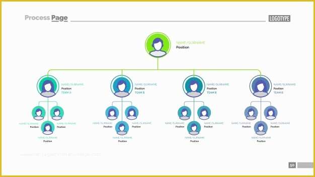 Business Structure Template Free Of Hierarchy Vectors S and Psd Files