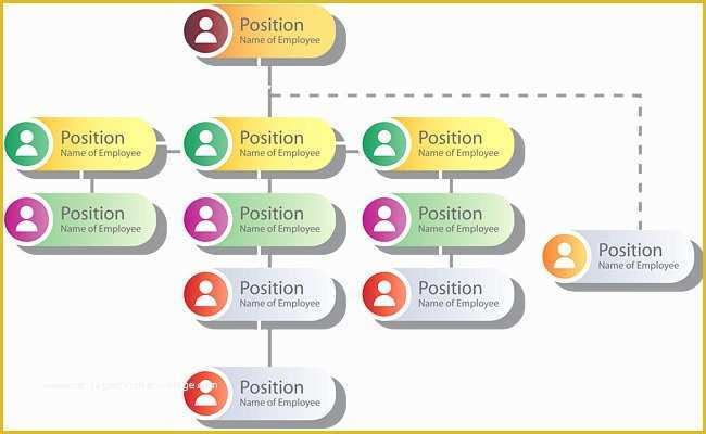 Business Structure Template Free Of organization Chart Template organization Structure Chart