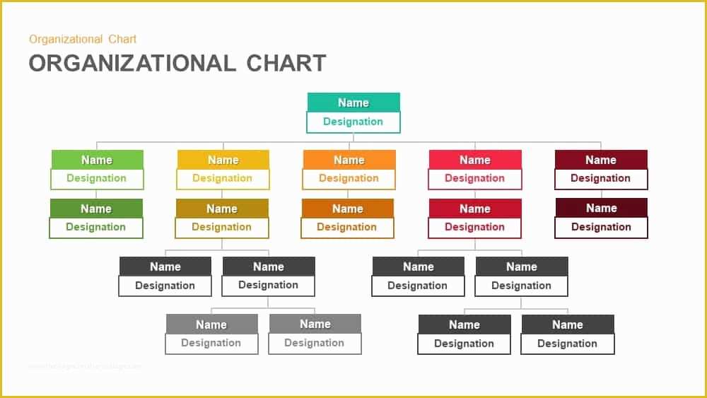 Business Structure Template Free Of organizational Chart Hierarchy Keynotes and Powerpoint