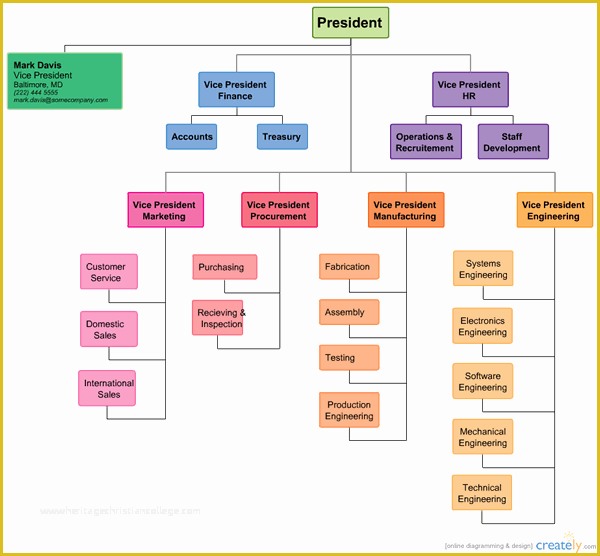 Business Structure Template Free Of organizationcharttemplate and Friends Ygraph