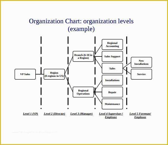 Business Structure Template Free Of Sample Business organizational Chart 10 Documents In Pdf