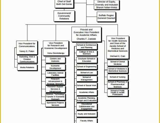 Business Structure Template Free Of Sample Business organizational Chart 10 Documents In Pdf