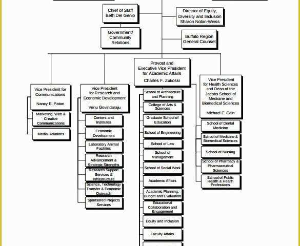 Business Structure Template Free Of Sample Business organizational Chart 10 Documents In Pdf