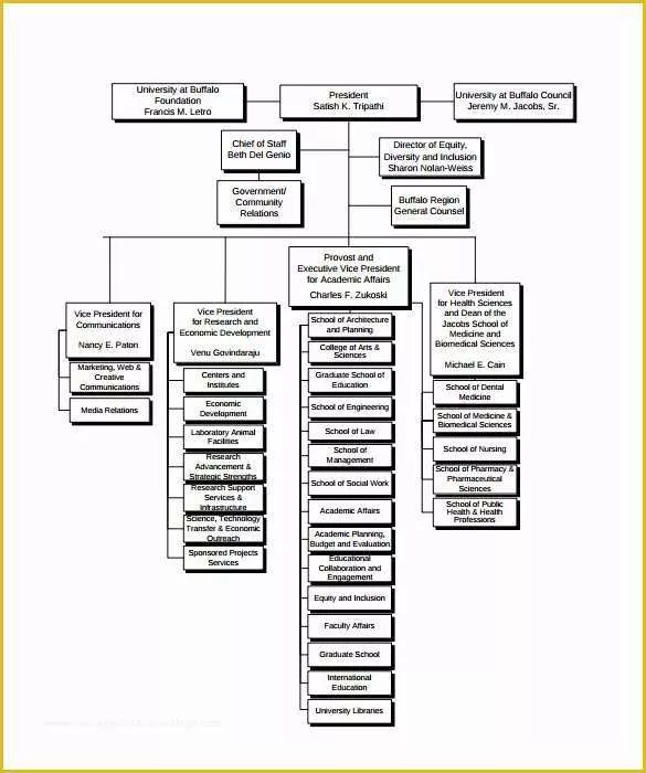 50 Business Structure Template Free