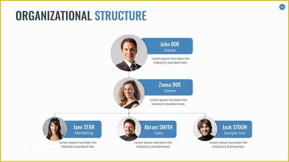 Business Structure Template Free Of Team Structure Diagram Template ...