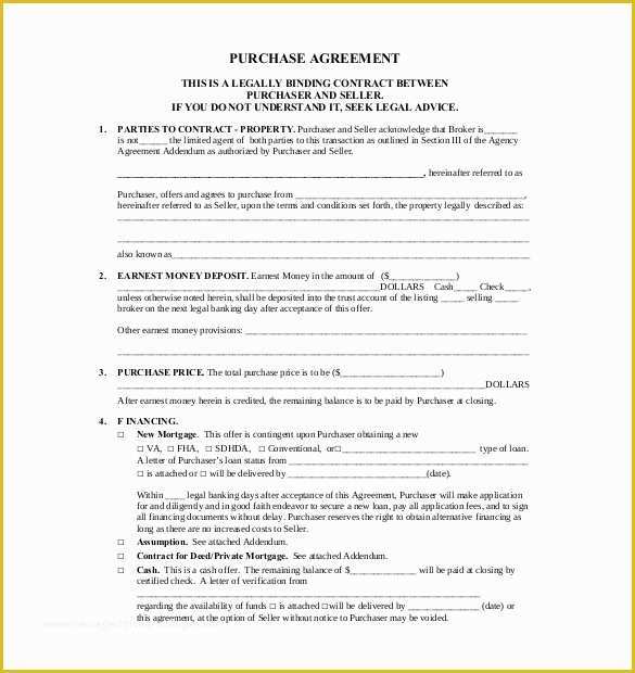 Buyout Agreement Template Free Of Purchase Agreement Template 28 Free Word Pdf Document