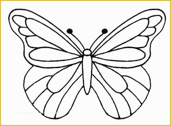 Caricature Templates Free Of butterfly Template Free Printable Printables