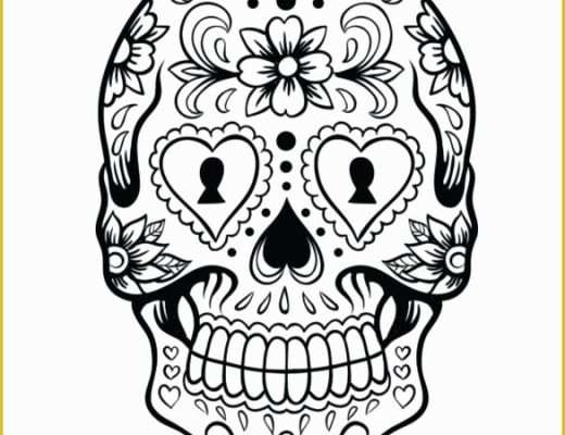 Caricature Templates Free Of Sugar Skull Drawing Template Templates Data