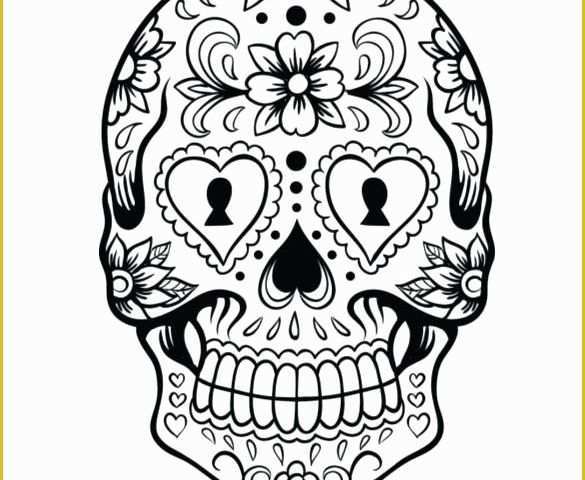 Caricature Templates Free Of Sugar Skull Drawing Template Templates Data