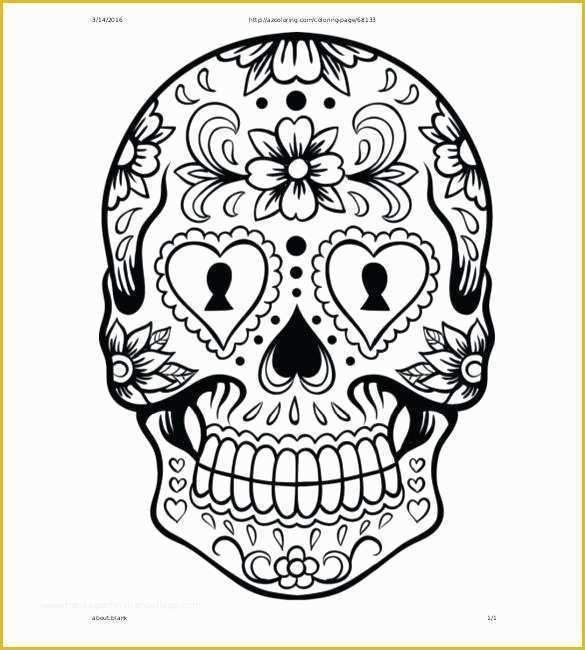 Caricature Templates Free Of Sugar Skull Drawing Template Templates Data