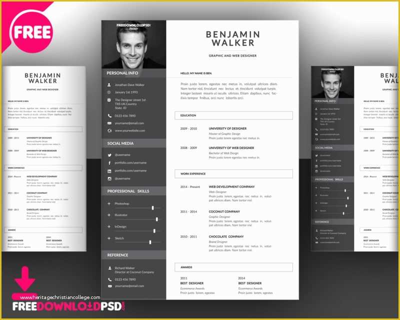 Cascade Resume Template Free Download Of Clean Resume Template Free Psd