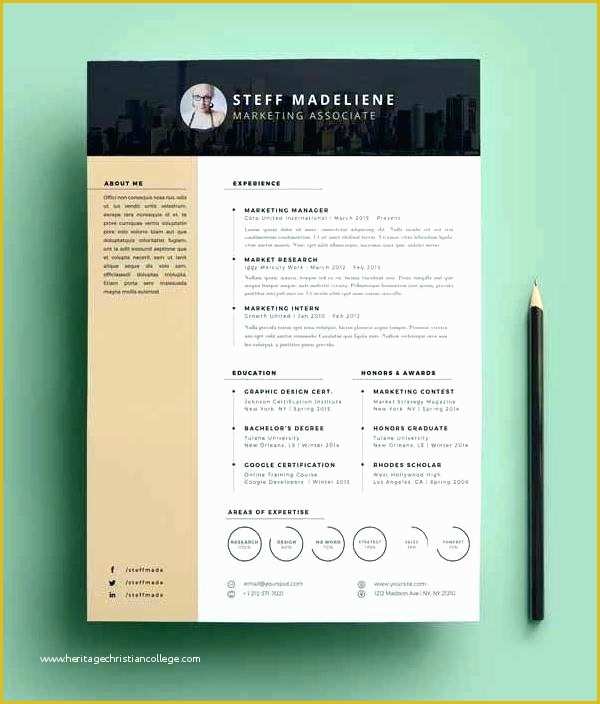 Cascade Resume Template Free Download Of Download Resume Template Professional Cv Template Word