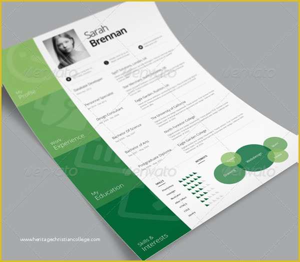 Cascade Resume Template Free Download Of Sample E Page Resume Templates 21 Free & Premium Download