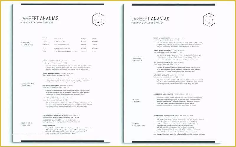 Cascade Resume Template Free Download Of Single Page Resume Template