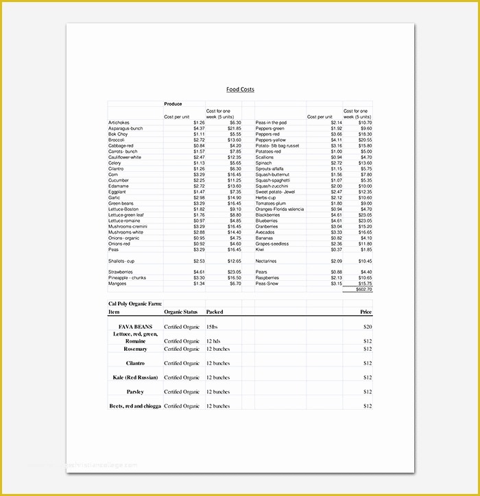 Catering Business Plan Template Free Download Of Catering Business Plan Template 11 for Word Doc Pdf