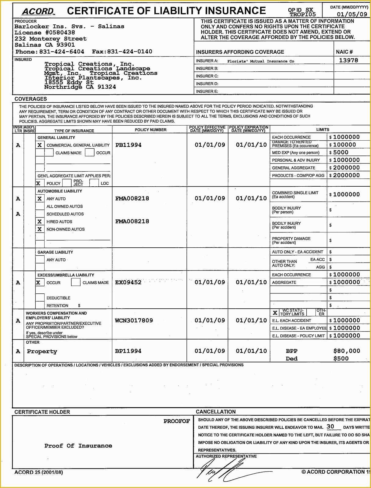 Certificate Of Insurance Template Free Of Acord Certificate Insurance Template Templates