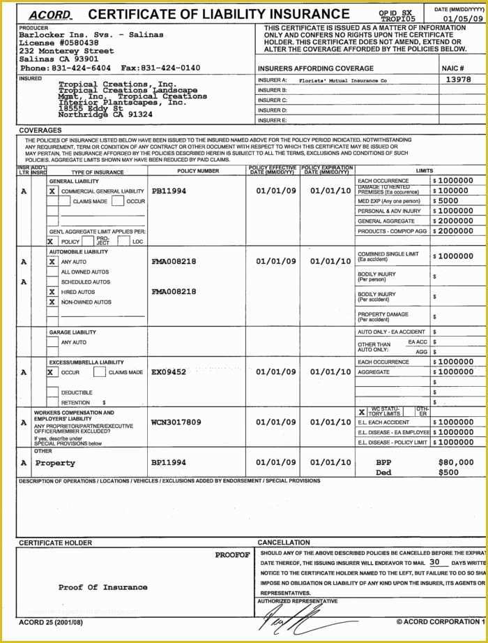 Certificate Of Insurance Template Free Of Auto Insurance Certificate Template Templates Resume