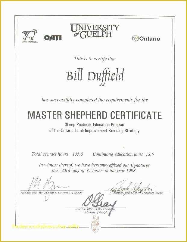 Certificate Of Service Template Free Of 5 Years Free Templates Service Certificate Template