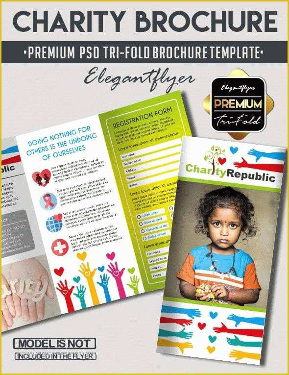 Charity Flyer Template Free Of 20 Best Free and Premium Non Profit Flyer &amp; Brochure Psd