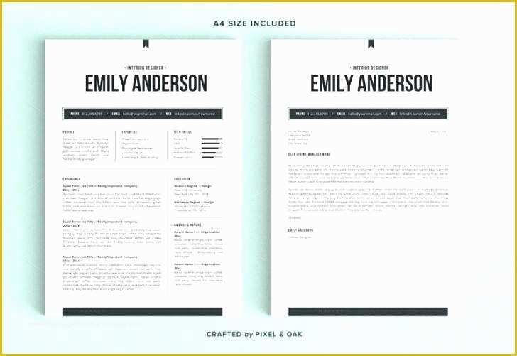 Chartered Accountant Website Templates Free Download Of Word Resume Templates Free Latest Chartered Accountant