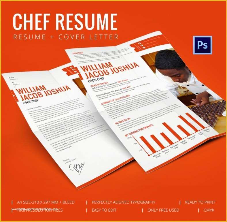 Chef Portfolio Template Free Of Chef Resume Template – 11 Free Samples Examples Psd