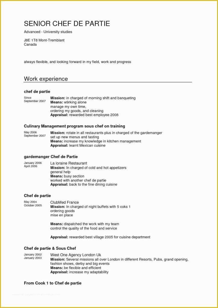 Chef Resume Template Free Of Chef Resume format Inspirational Best Executive Google