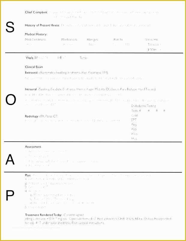 Chiropractic soap Notes Template Free Of Chiropractic soap Note Template Printable soap Note