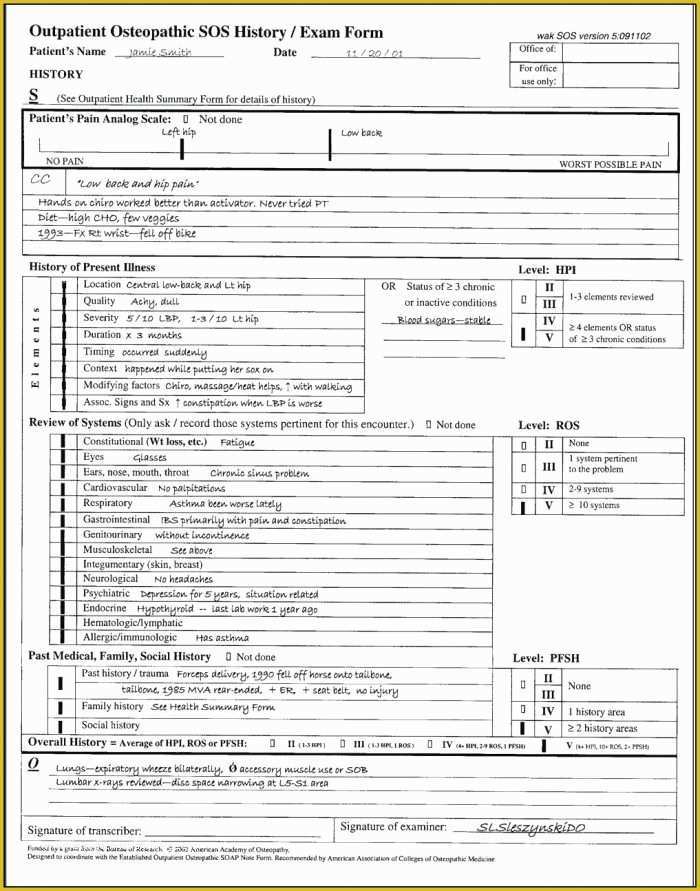 Chiropractic soap Notes Template Free Of soap Notes Template Massage Template Resume Examples