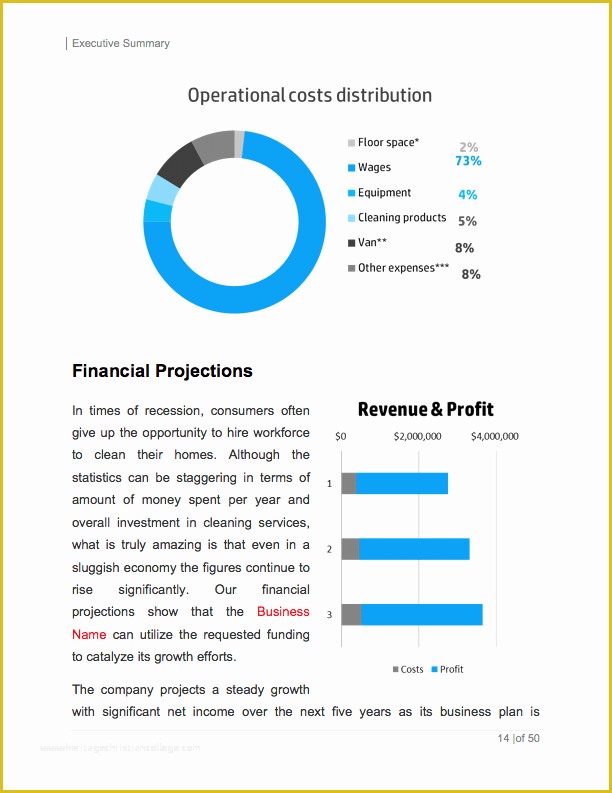 Cleaning Service Business Plan Template Free Of Screen Shot 2016 07 26 at 6 21 19 Pm