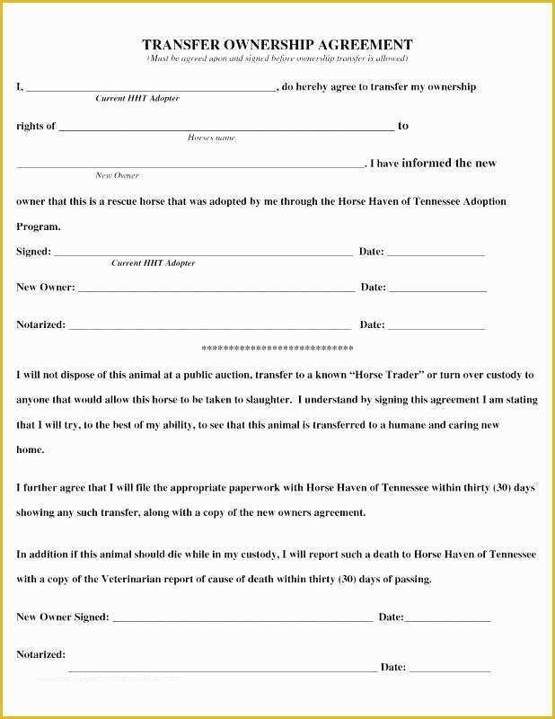 co ownership agreement template