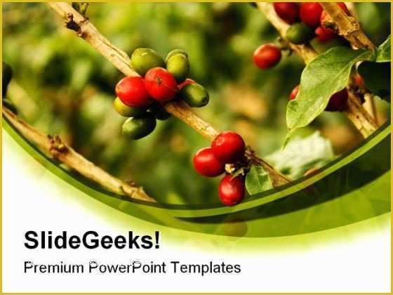 Coffee Powerpoint Template Free Download Of Coffee Plants Nature Powerpoint Templates and Powerpoint