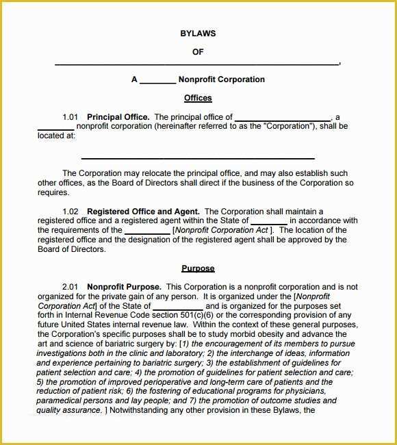 Company bylaws Template Free Of 7 bylaws Templates