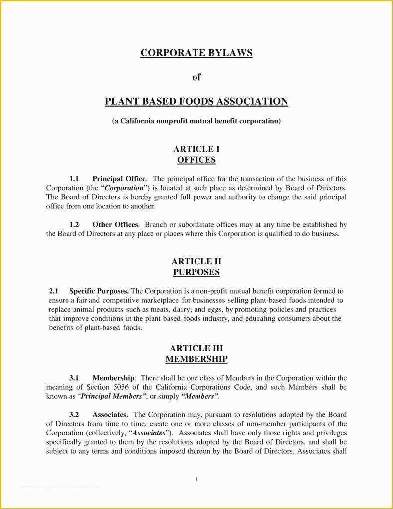 Company bylaws Template Free Of 9 Corporate bylaws Templates Pdf