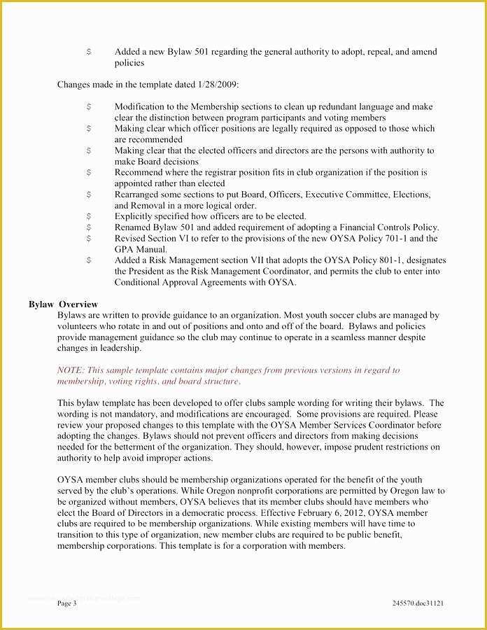 Company bylaws Template Free Of Corporate bylaws Template S Corporation bylaws Template