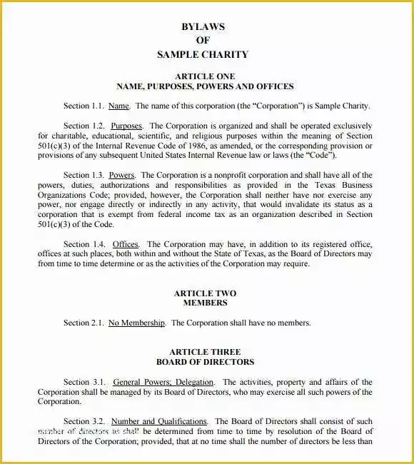 Company bylaws Template Free Of Sample bylaws Template 8 Free Documents In Pdf