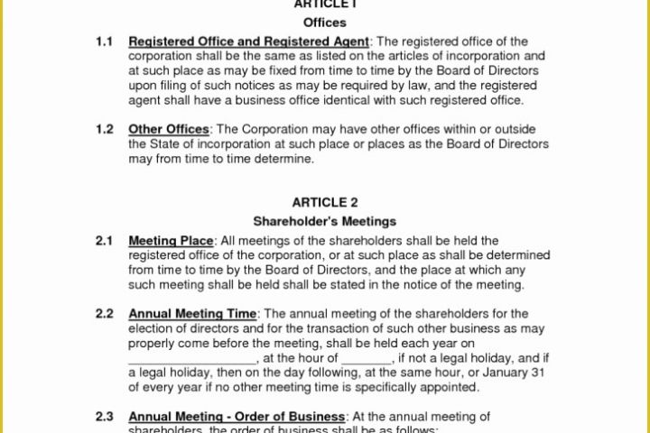 Company bylaws Template Free Of Template bylaws Template