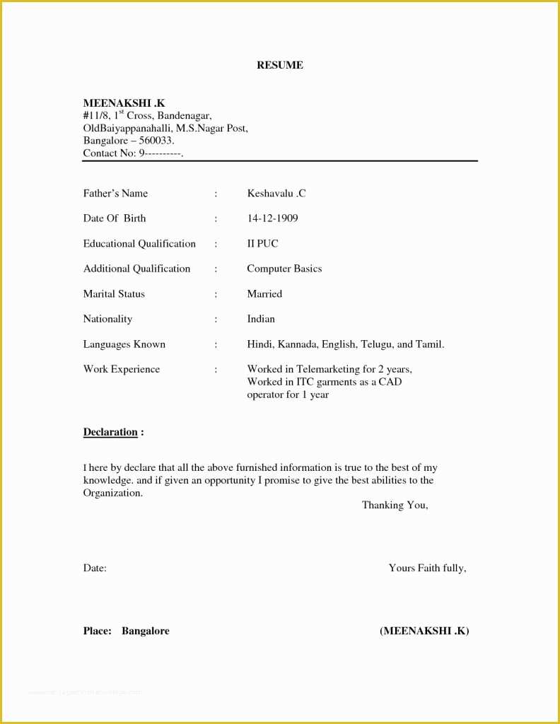 Completely Free Resume Template Download Of Free Resume Builder Professional Template Export