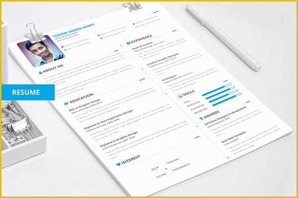 Cool Resume Templates Free Of 50 Beautiful Free Resume Cv Templates In Ai Indesign