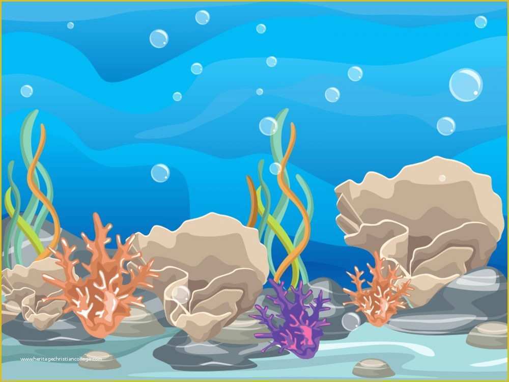 Coral Reef Powerpoint Template Free Of Coral Reef Backgrounds